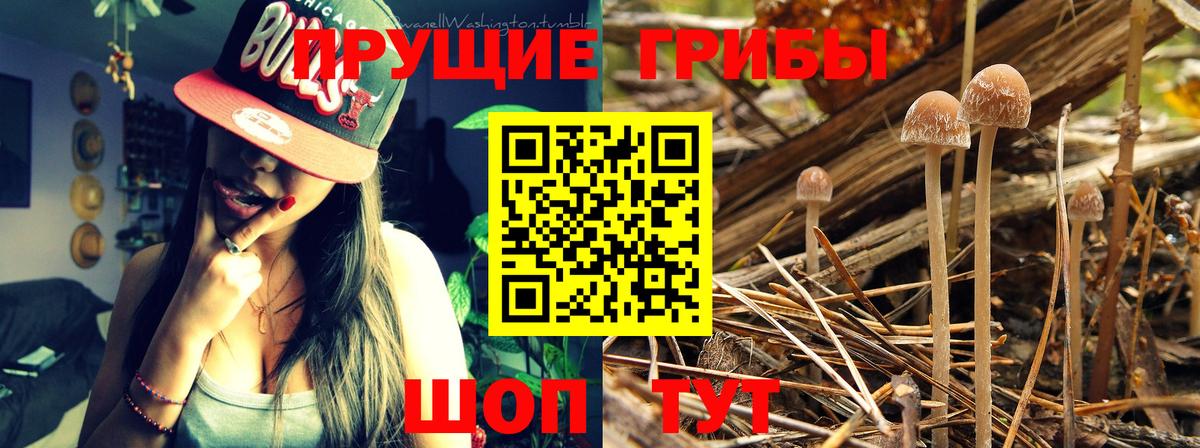 Галлюциногенные грибы мицелий Заринск